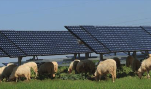 Solar Farming by Sea Bright Solar.