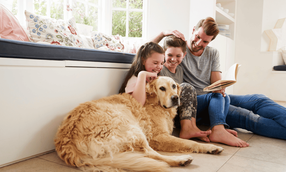 Happy family of three with their Golden Retriever on the floor of home with solar
