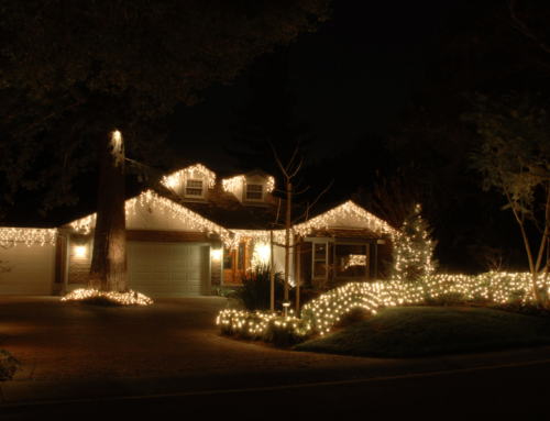 Brighten the Holidays with Solar Lights