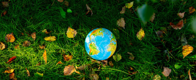 Globe resting on green grass representing clean solar power, environmental conservation, renewable energy, and a sustainable future supported by Sea Bright Solar.
